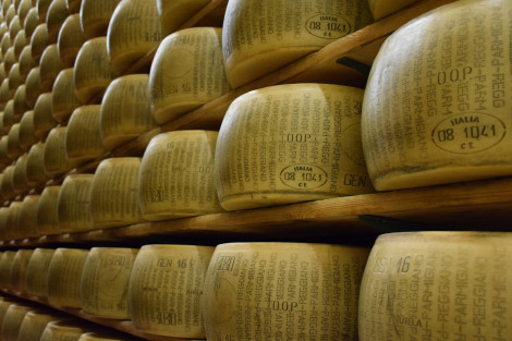 Parmigiano Reggiano e Grana Padano: le differenze