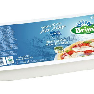 MOZZARELLA FIOR DI LATTE FILONE 1000 GR