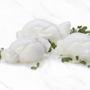 MOZZARELLA NODINO 50 GR DELIZIOSA