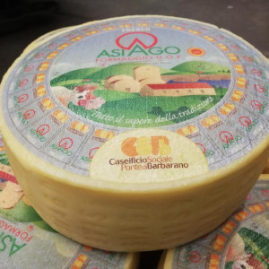 ASIAGO DOP PRESSATO 108