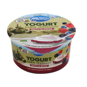 YOGURT DOPPIO STRATO FR.BOSCO 150 GR LATTE FIENO