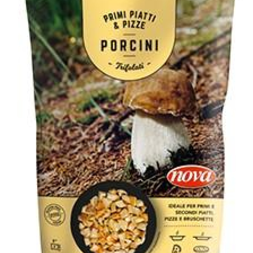 FUNGHI PORCINI IN BUSTA 800 GR