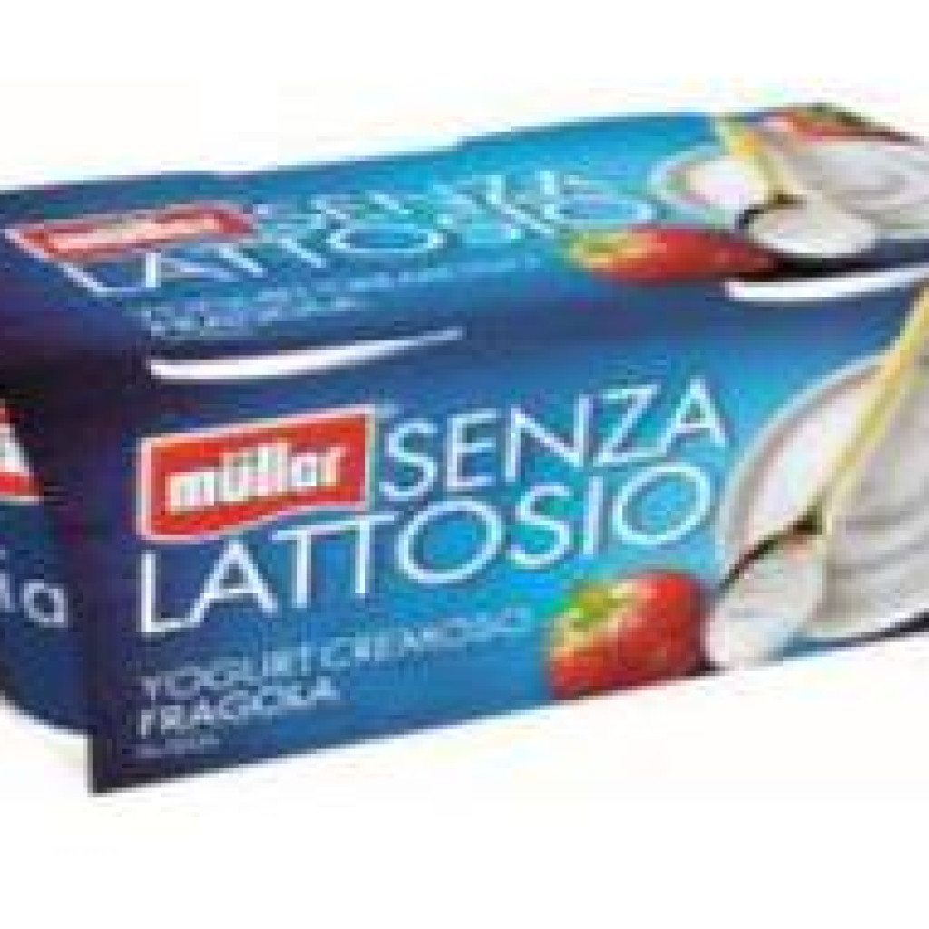 YOGURT FRAGOLA SENZA LATTOSIO 2 X 125 GR