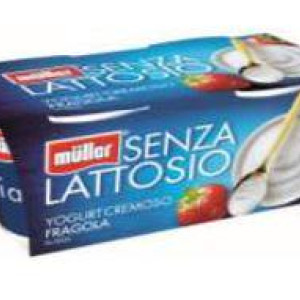 YOGURT FRAGOLA SENZA LATTOSIO 2 X 125 GR