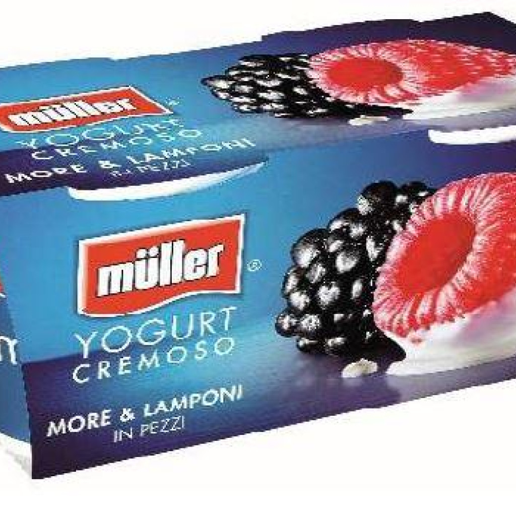 YOGURT MORE - LAMPONI 2 X 125 GR