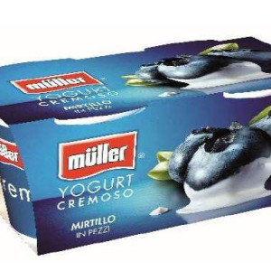 YOGURT MIRTILLO 2 X 125 GR