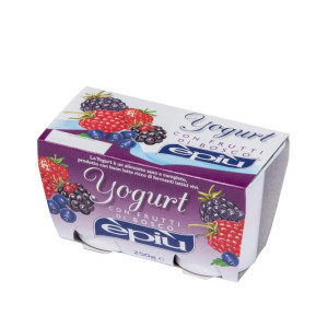 YOGURT FRUTTI BOSCO 125X2