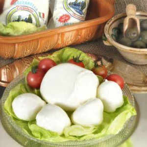 BOCCONCINI 500 GR ASCIUTTO VASCH.4 KG