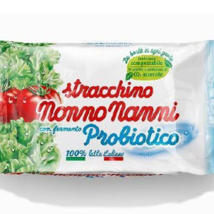 STRACCHINO PROBIOTICO 100 GR NONNO NANNI