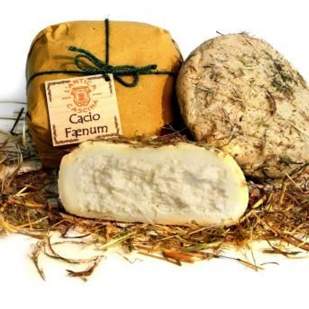 PECORINO CACIO FAENUM 1,4 KG