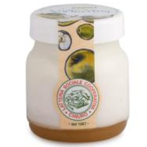 YOGURT VALTELLINA MELA 150 GR