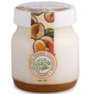 YOGURT VALTELLINA ALBICOCCA 150 GR