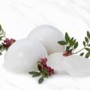 MOZZ. BOCCONE 200 GR VASC.17 PZ X 3.5 KG DELIZIA