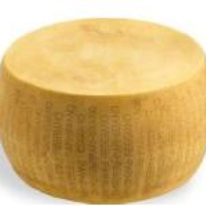 30 PARM. REGG. DOP  FORMA INTERA